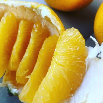 今年ははっさくもありそう🍊...