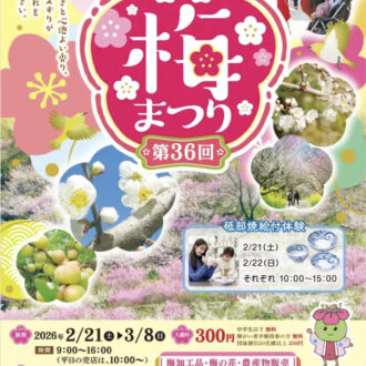七折梅まつりは2月21日(土)〜🌸...