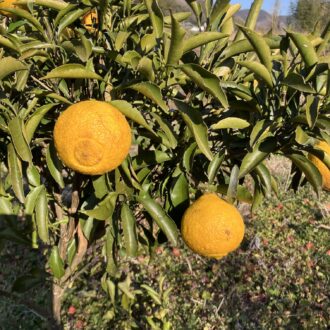 はるかちゃんも少しだけ✨...