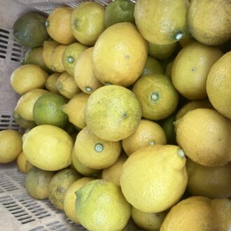 レモン残り僅かとなりました🍋...