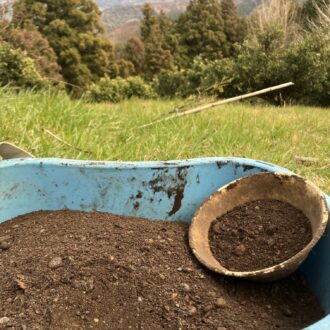 肥料もこれから🧑🌾...